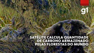Satélite mede a quantidade de carbono armazenado nas florestas do mundo