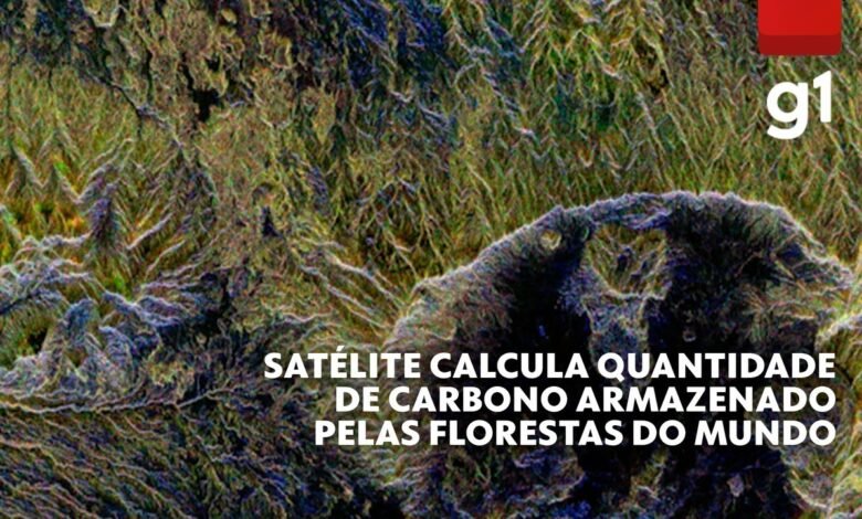 Satélite mede a quantidade de carbono armazenado nas florestas do mundo