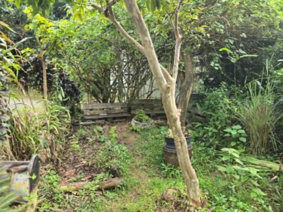 Em Guadalupe, hortas crioulas ensinam sobre clima em ambiente solidário