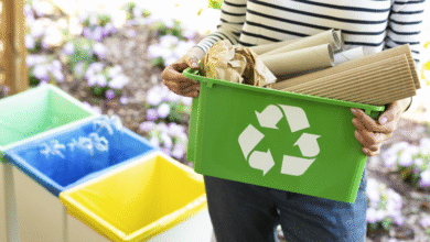 Conheça os 3 Tipos de Reciclagem e Sua Importância para o Meio Ambiente